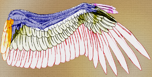 http://www.birdsgate.de/federgalerie/tutorium/images_small/m_federn_schema.jpg