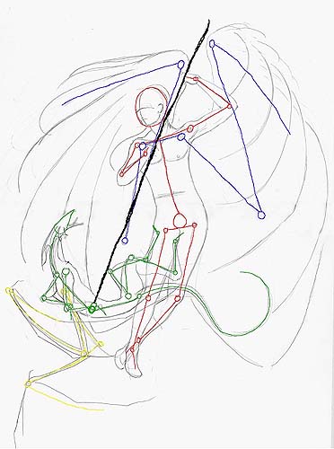 http://www.birdsgate.de/federgalerie/tutorium/images_small/m_ramielit_skelett01.jpg
