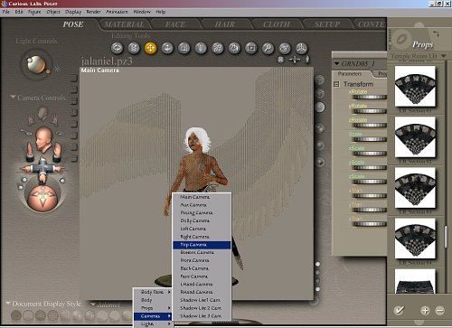 http://www.birdsgate.de/federgalerie/tutorium/images_small/scene_camera_setup03.jpg