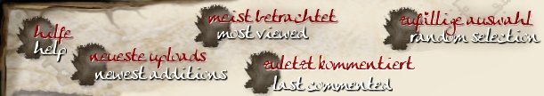 Navigation Top Stats